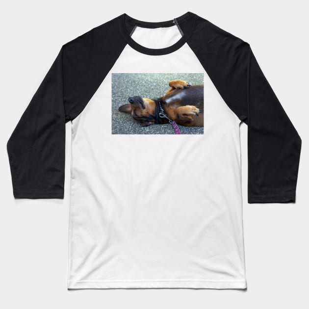 portrait of a sleeping dog Baseball T-Shirt by likbatonboot